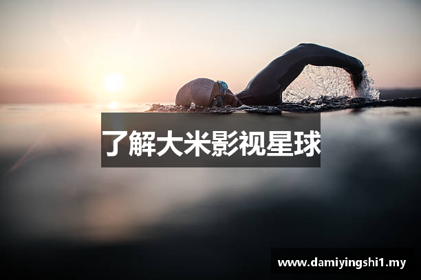 了解大米影视星球